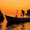 Amasralı Balıkçı | Limitli Edisyon